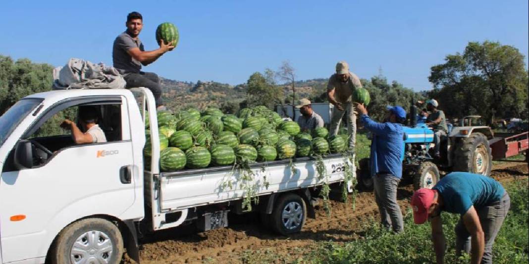 Türkiye’nin dört bir yanından akın ediyor, almak için saatlerce bekliyorlar! Üretici mutlu: Haftada 25 ton satıyorlar 2